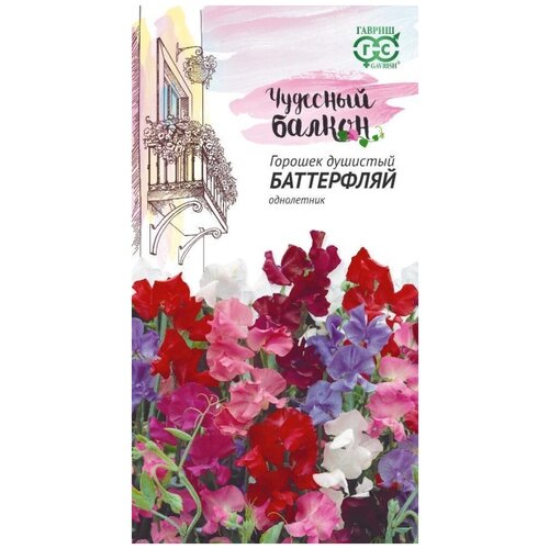 ������ ������ ������ �������� ������� ���������� 1� ��� ����� 200�� (������) �������� ������ ����