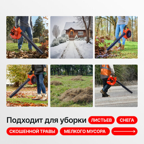 ������ ������ ���������� ������������ Belmax ����