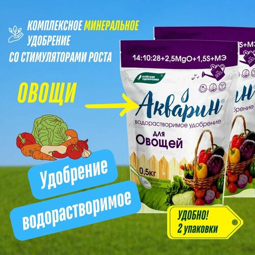 ������ ������ ����������� ��������� ������� ��� ������, ��������������� 2 �������� �� 500 �� (1 ��), ������� ��������� ����