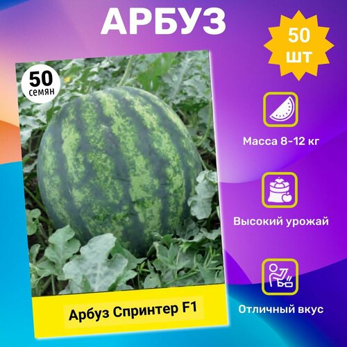 ������ ������ ������ ����� �������� F1 50 ��. ���������� �������� ����