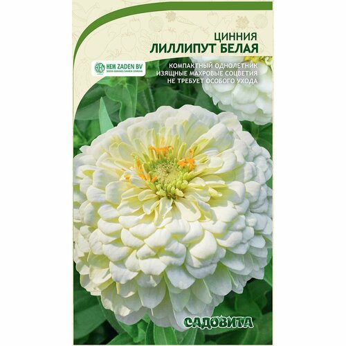 ������ ������ ������ ����� �������� �����, ���������� �����, ������������������, ������ �� 45��, 4� ����