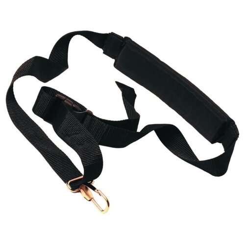 ������ ������ CHAMPION ������ ��������� C4002, 100 �� ����