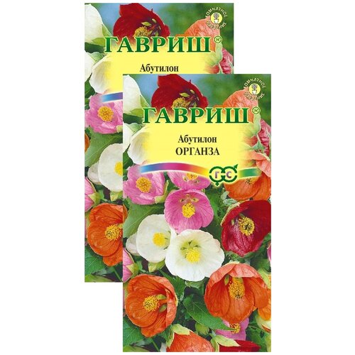 ������ ������ �������� ������� ����� (7 �����), 2 ������ ����