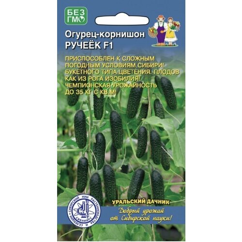 ������ ������ ������-�������� ������ F1, 1 �����, ��������� ������, ������ 10 �� ����