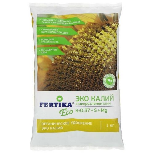 ������ ������ ��������� �������, ��� �����, 1 �� ����