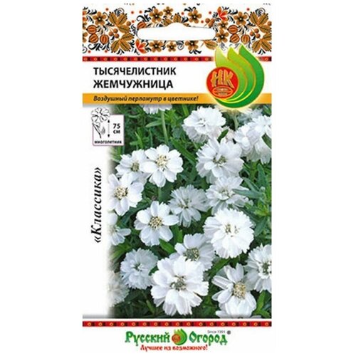 ������ ������ ������. �����. ������������� 