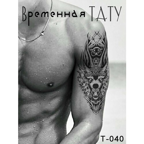 ������ ������ ��������� ���������� ���� ��� ���� (�� �������). ������ 210�150�� ����