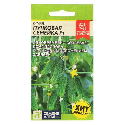 ������ ������ ������ ������ ����� ������ �������� �������, F1, 6 �� ����