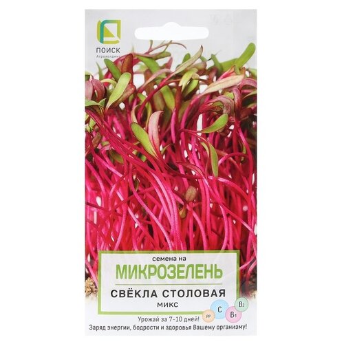 ������ ������ ������ ����� ����������� ������ �������� ���� 5� ����