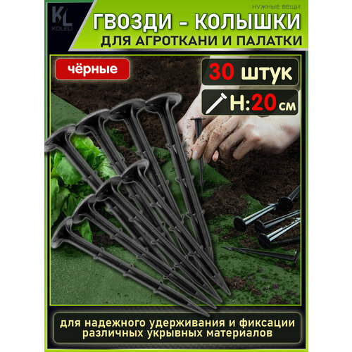 ������ ������ KoLeli / ������-�������, ����������� ������� ������ ��� ���������, 20 ��, ������ ����
