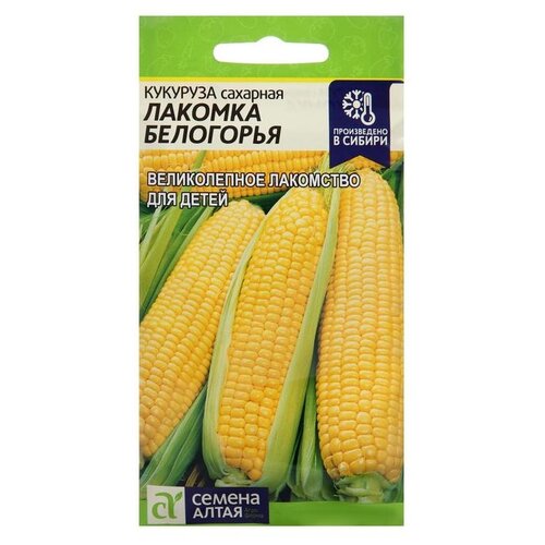 ������ ������ ������ ������ ����� �������� ������� ���������, 5 � ����