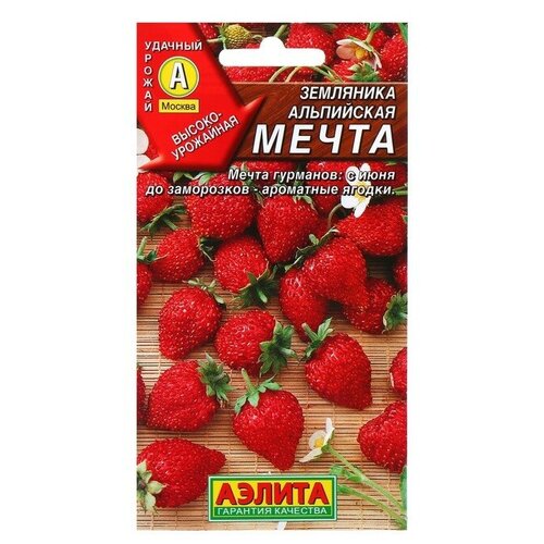 ������ ������ ������ ��������� 