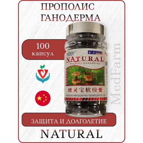 ������ ������ �������� �������� � ���������, Propolis Ganoderma Natural, 100 ������ ����