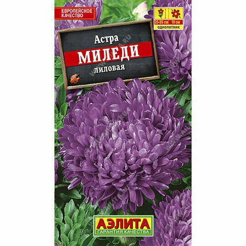 ������ ������ ������ ����� 