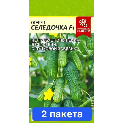 ������ ������ ������ ������ ������ ����� 