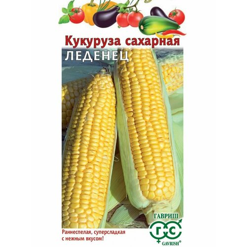 ������ ������ �������� �������� ������� F1, 10��, ������ ����