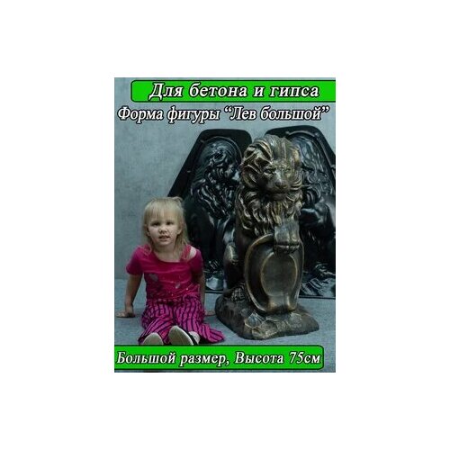 ������ ������ ����� ������ 