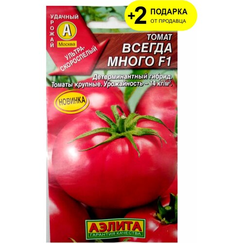 ������ ������ ������. ����� 