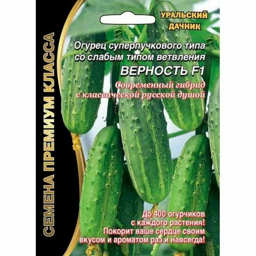 ������ ������ ������ ������ �������� F1 (������������������) 5+2�� ����