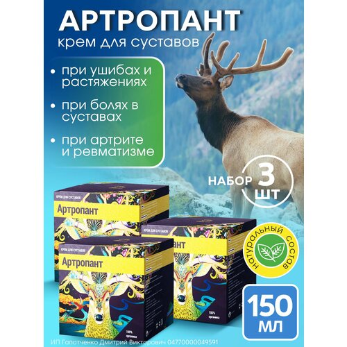 ������ ������ ������-���. ���� ��� �������� �������������� 