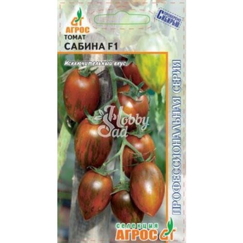 ������ ������ ������ ����� ������ 5�� ������ (�����) ����