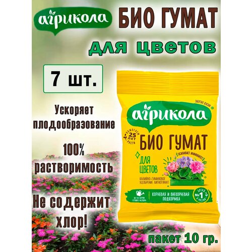 ������ ������ �������� ��� ����� ��� ������ 10�� ����