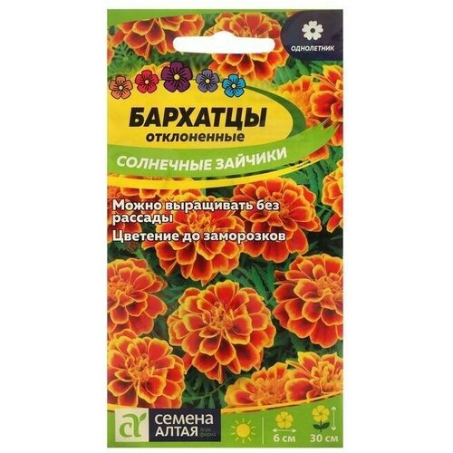 ������ ������ ������ ������ �������� 