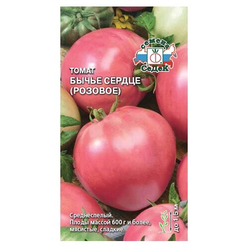 ������ ������ ������ ����� ����� ����� ������ ������� ����