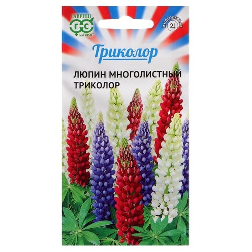 ������ ������ ������ ������ ����� �������� 0,6 � ����