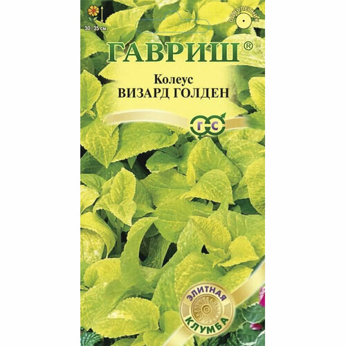 ������ ������ ������ ������ ������ ������ 5 ��. ����