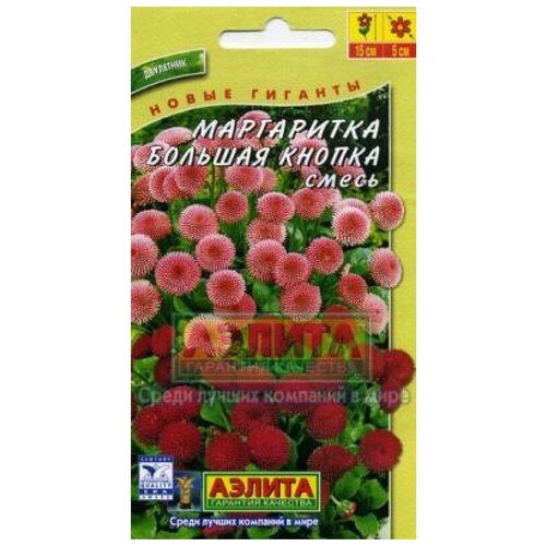 ������ ������ ���������� 