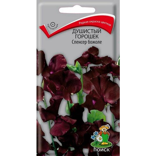 ������ ������ �������� ������� ������� ������ �����. 1��. (�����) ����