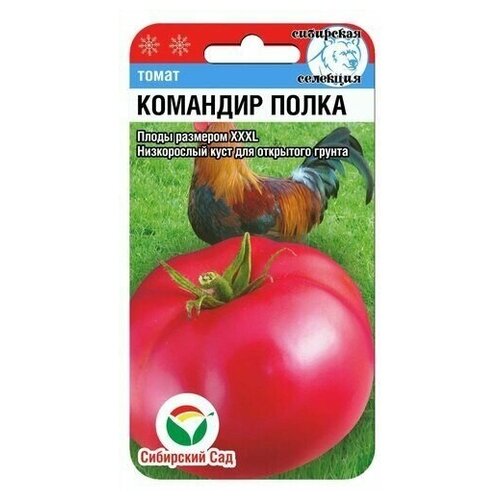 ������ ������ ������ ����� �������� ����� ��������� ��� 20 �� ����