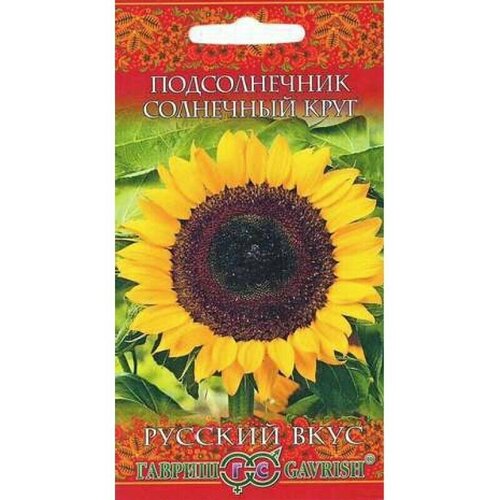 ������ ������ ������. ������������ 