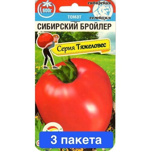 ������ ������ ������ ������ ��������� ��� 