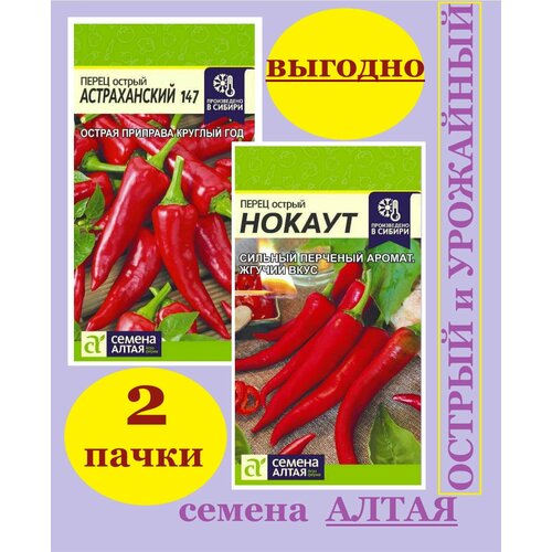 ������ ������ ����� ����� ������ ������������+������ ������ ����� (2 ��������) ����