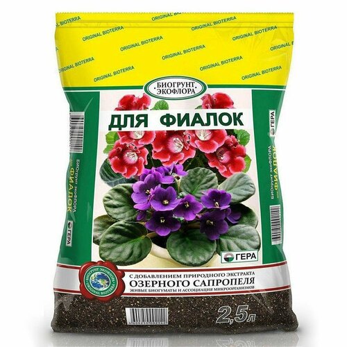 ������ ������ ����� ��� ������ 2,5� ����