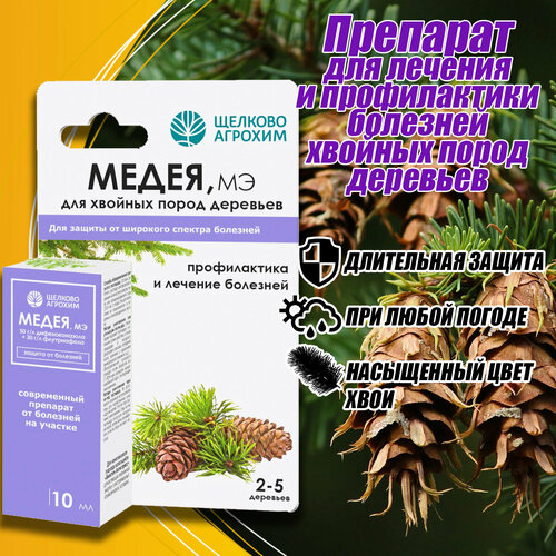 ������ ������ �������� �� �������� �������� ����� �� �������-������� (10�� ����) ����