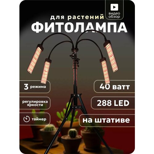 ������ ������ �������������� � ������ �������� �� ������� ����