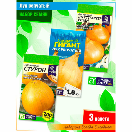 ������ ������ ����� ����� ��������� ���� ������, ��������� ������ � ����������� ����� �� ������ ����� (3 �����) ����