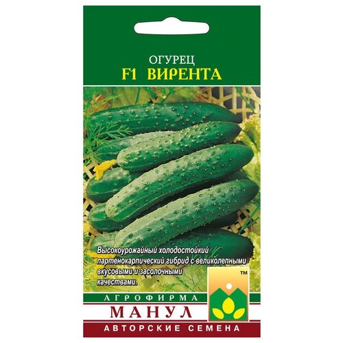 ������ ������ ������ ����� 