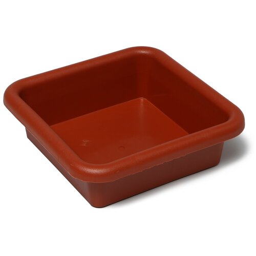 ������ ������ ����-����� ���� ��� ������� 2846178, 3 �, ���� ����