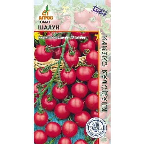 ������ ������ ����� ����� ����