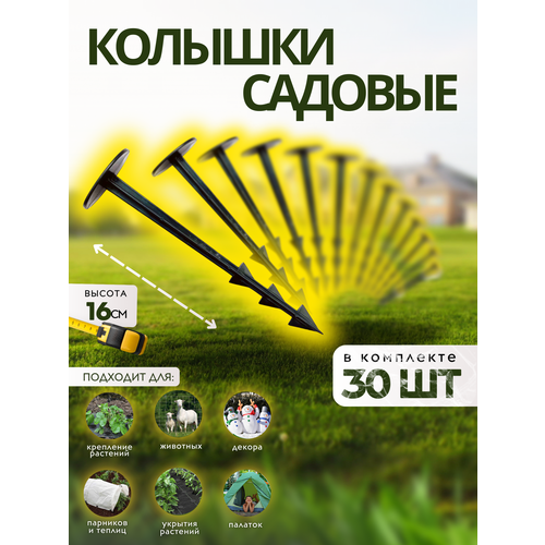 ������ ������ ������� �������, �������� 30 ���� ����