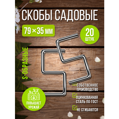 ������ ������ ����� ������� ��� �������� ����� S-�������� 20�� ����