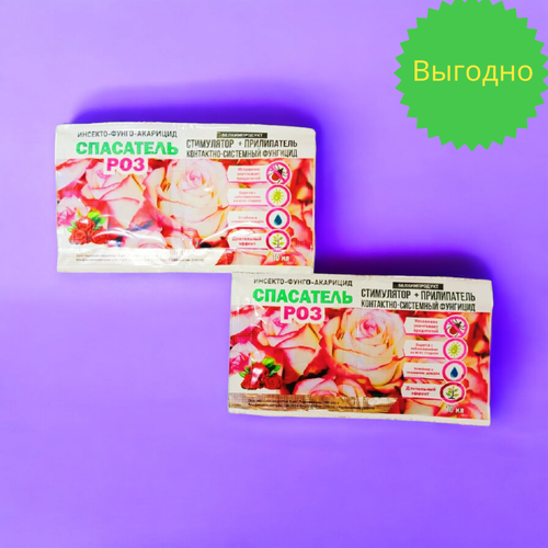 ������ ������ ��������� ��� 2 ����� �� (3 �� ���������� + 10 �� �����������) �������� �� ���, �������, �����������, ��������, ����� ����� ����