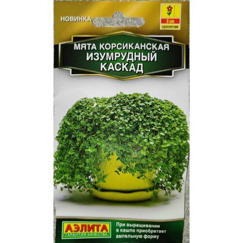 ������ ������ ���� ������������ ���� ���� ����