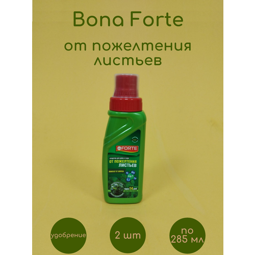 ������ ������ ���� ����� �������� ������ 4�1 �� ���������� ������� 2 �� �� 285 �� ����