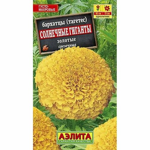 ������ ������ ������. �������� 