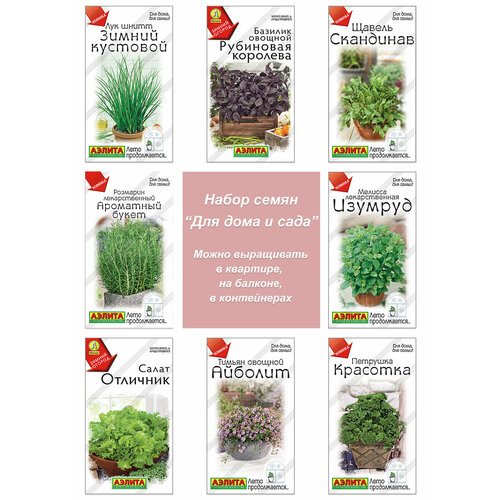 ������ ������ ������ ������ ��� ����������� ����